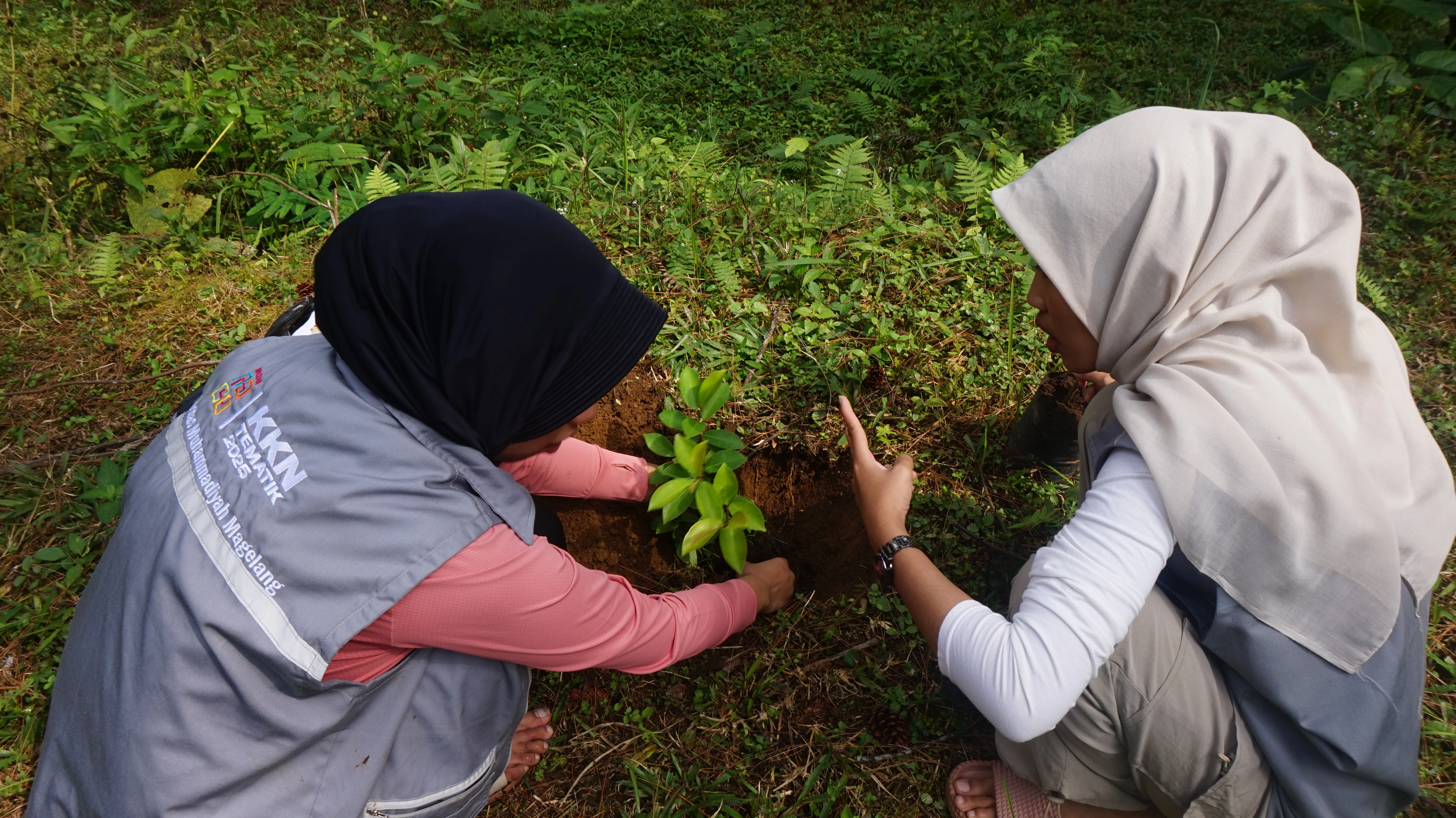 Mahasiswa KKN Unimma Tanam Bibit Tanaman di Wisata Lembah Pinus Desa Surodadi
